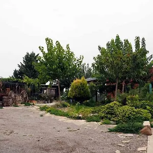 Lera De Cal Roger España